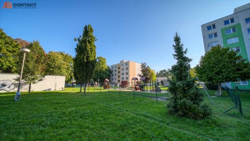 Ihrisko v zadnej časti domu