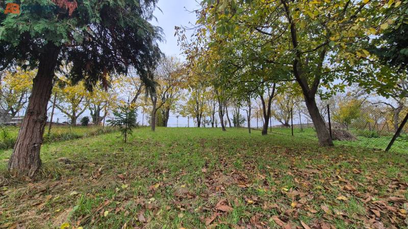 predaj Dom Šípkové 70